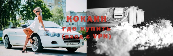 прущие грибы Абинск