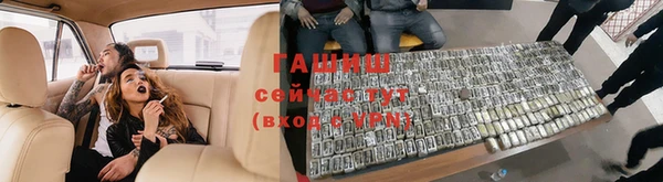 дмт Новодвинск