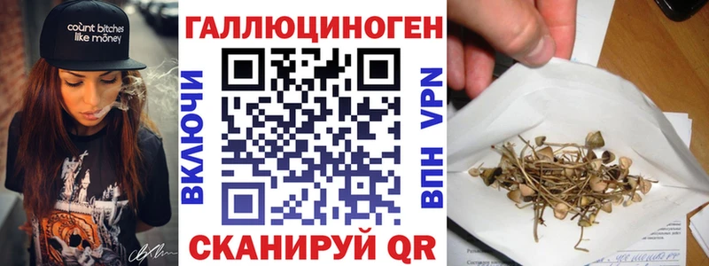 блэк спрут онион  Инта  Галлюциногенные грибы Magic Shrooms 
